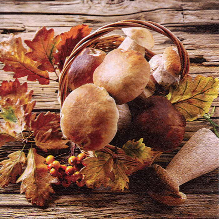 Mushroom Napkins - 3ply Pack of 20 | Party Save Smile