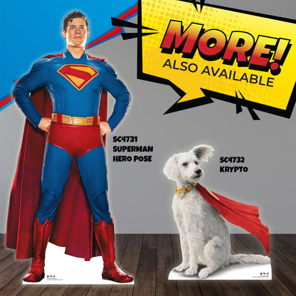 Superman David Corenswet Flying and Krypto Cardboard Cutouts Height 193cm