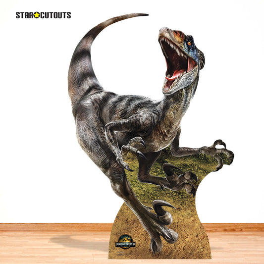 Velociraptor Dinosaur Jurassic World Rebirth Cardboard Cut Out Height 144cm