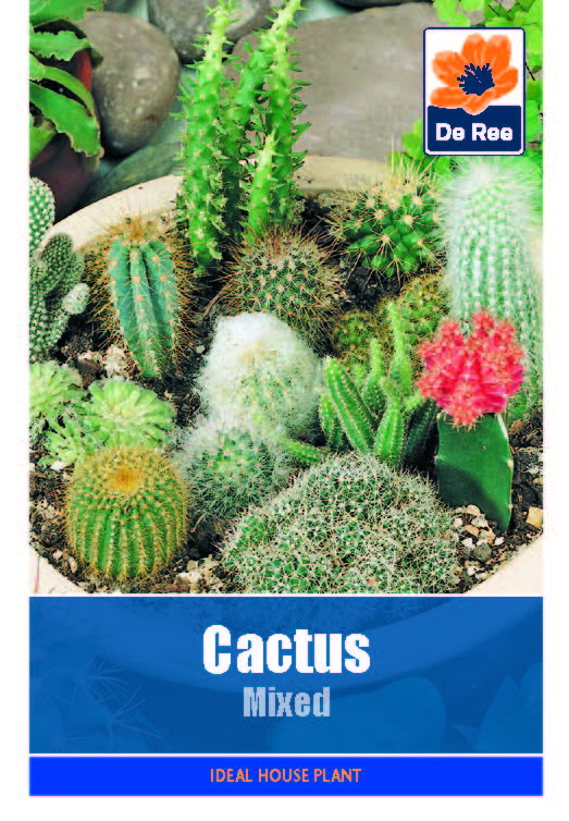 Cactus Mixed Seeds: Grow Your Own Cactus Plants | Party Save Smile
