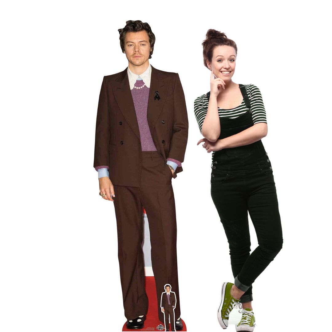 Harry Styles Cardboard Cutout Height 183cm Lifesize With Mini