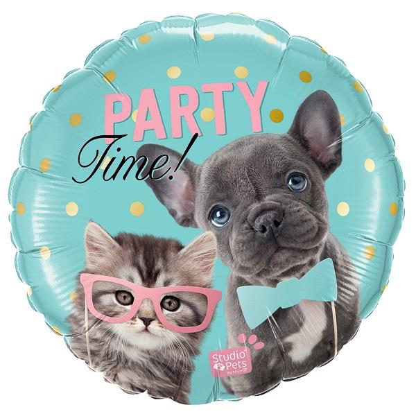 Dog and Cat Party Time 18